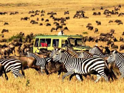 serengeti-national-park-remember-africa-tour